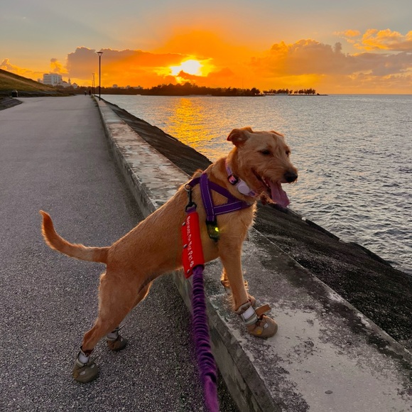 Meet your Posher! - Picture 4 of 6